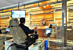 从亚洲最大垃圾焚烧厂到生活美容服务 城市环保与生活品质的双重奏